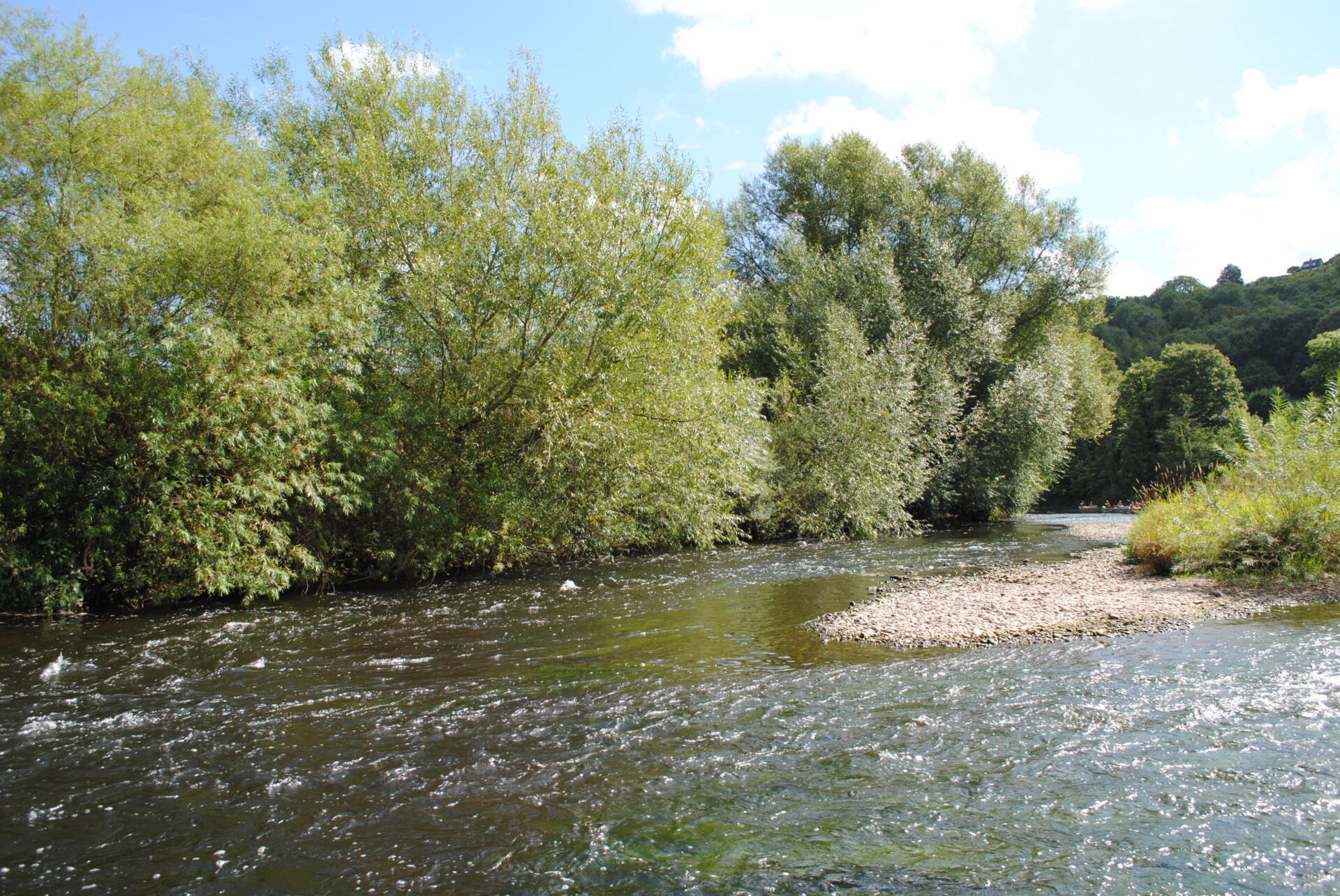Salmon Course and Trout Fishing river Wye | luxury holiday let self catering dog friendly hot tub symonds yat