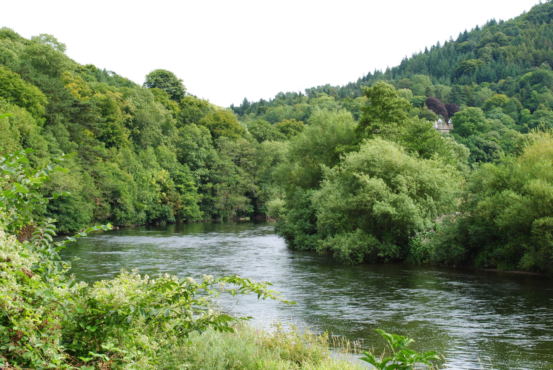 Salmon Course and Trout Fishing river Wye | luxury holiday cottage self catering dog friendly hot tub symonds yat