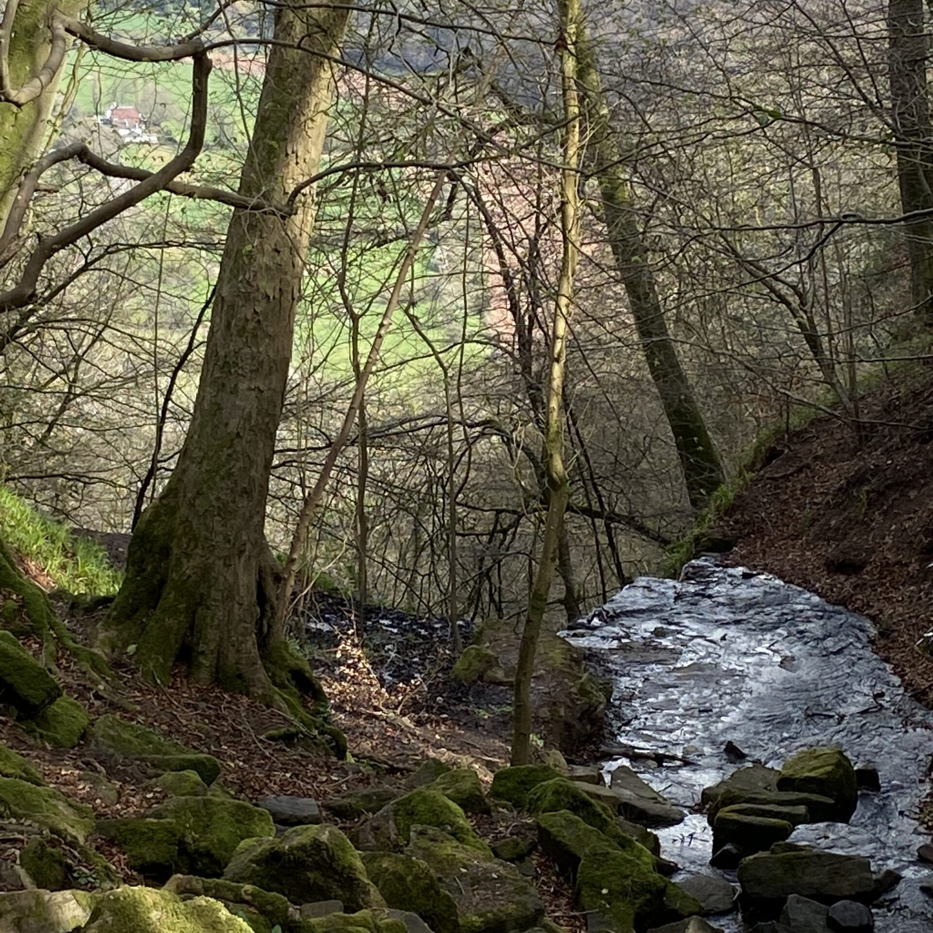 Cleddon Falls April 2024|dog friendly holiday let with hot tub and games room Forest of Dean Wye Valley Symonds Yat