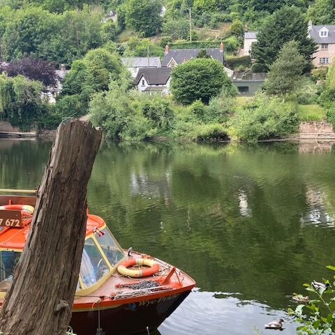 River Wye Boat Cruises in Symonds Yat | Dog Friendly forest cabin Wye Valley Forest of Dean luxury hot tub