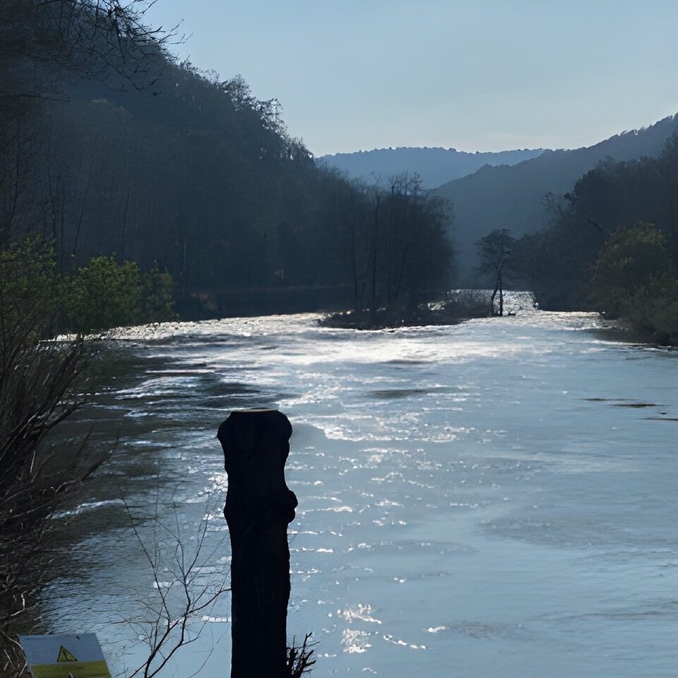 Picturesque River Wye - Dog Friendly Holiday Cottages Wye Valley Forest of Dean