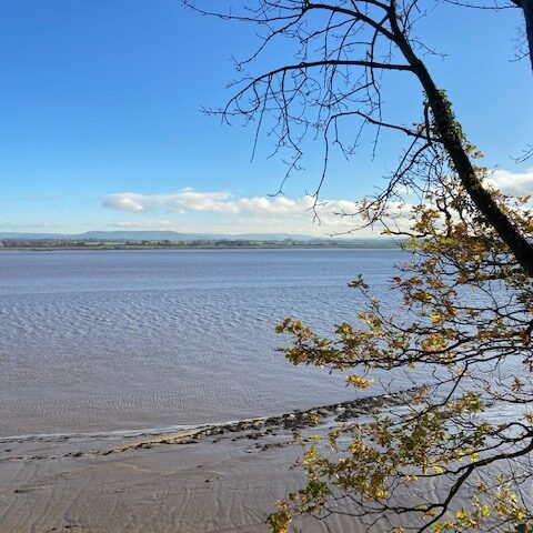 Lydney Harbour - Dog Friendly Holiday Cottages Wye Valley Forest of Dean