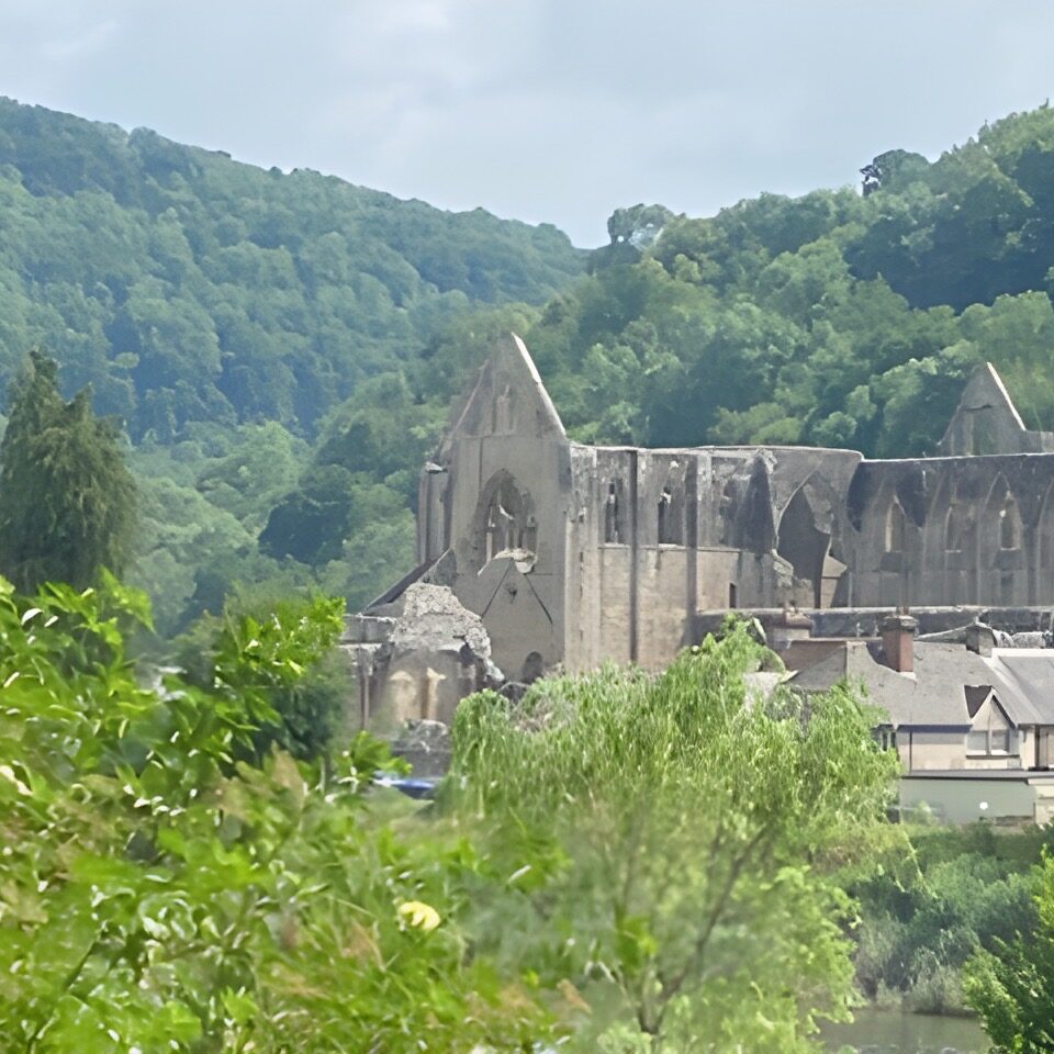 Tintern Abbey - Dog Friendly Holiday Cottages Wye Valley Forest of Dean