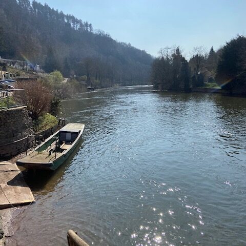 Symonds Yat | Dog Friendly Holiday Cottage Wye Valley Forest of Dean Hot Tub Forest Cabin