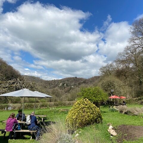 Biblins Tea Rooms- Symonds Yat Wye Valley Forest of Dean forest cabin hot tub